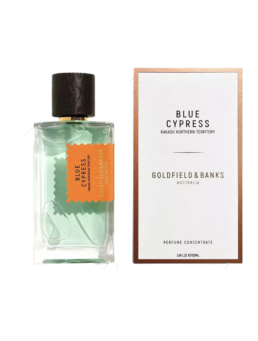 Blue Cypress - Image 2