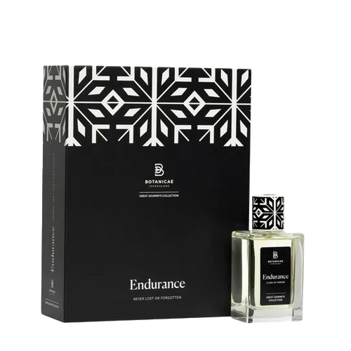 Endurance - Image 2