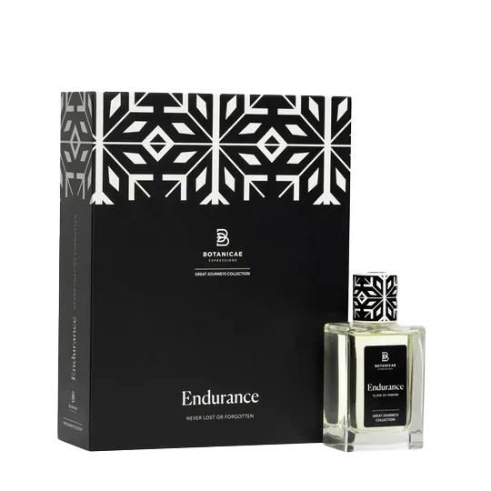 Endurance - Image 2