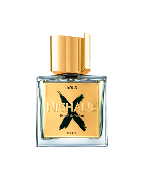 Ani X