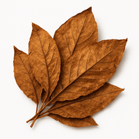 Feuilles de tabac