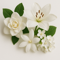 Fleurs blanches