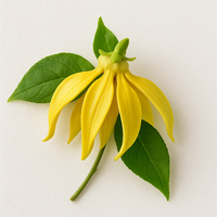 Ylang-Ylang