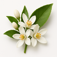 Fleur d'oranger