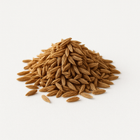 Cumin