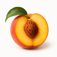 Pêche