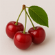 Cerise