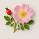 Églantine