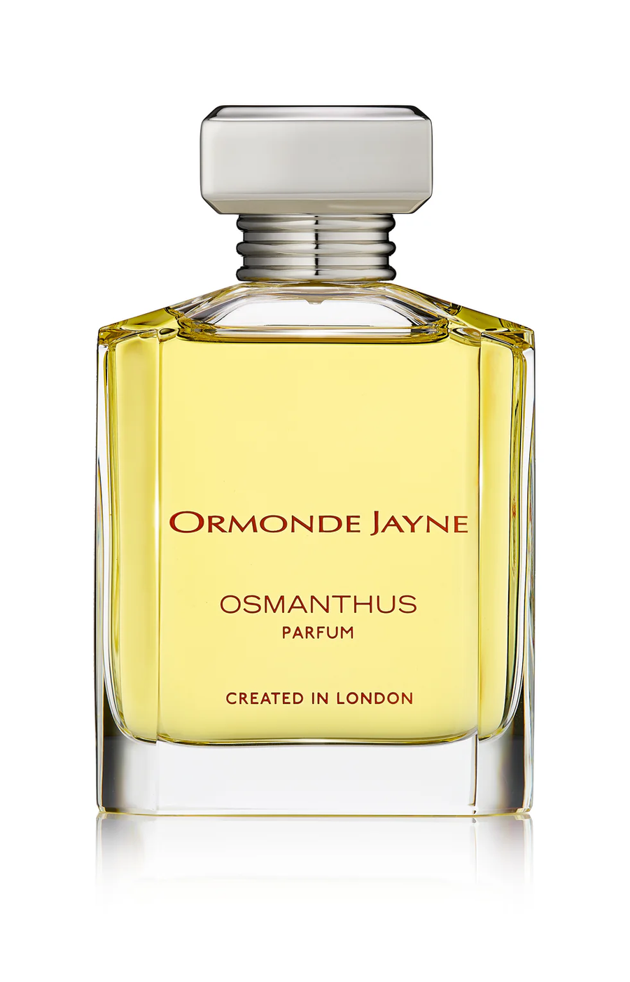 Osmanthus - Image 2
